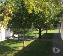 Apartamentos a venda Felgueiras - Fotos para Moradia T4 c piscina - Refontoura